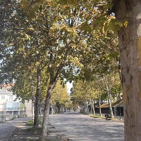 La Magnolia Appartement Valenza